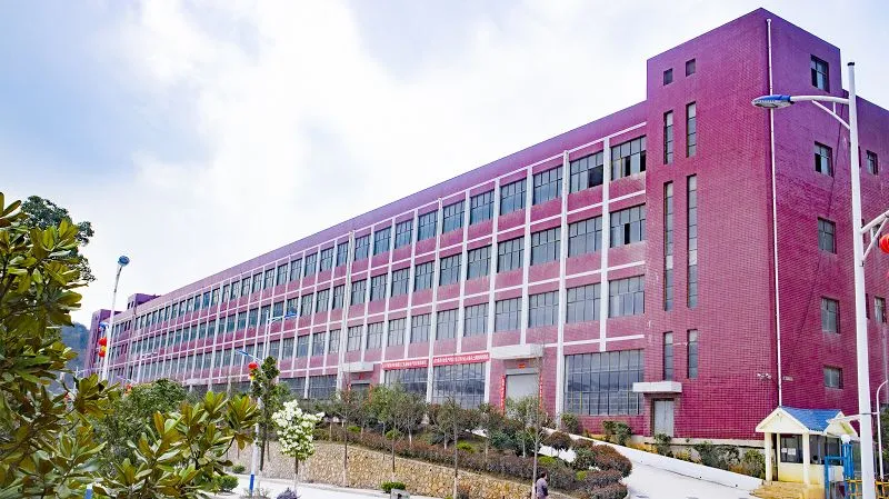 IMG0376001 IMG0376001